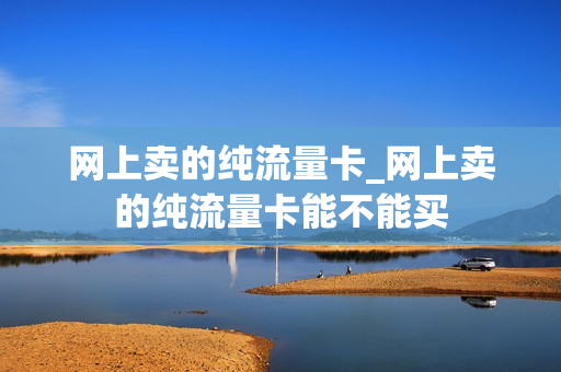 网上卖的纯流量卡_网上卖的纯流量卡能不能买