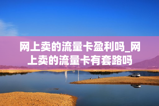 网上卖的流量卡盈利吗_网上卖的流量卡有套路吗