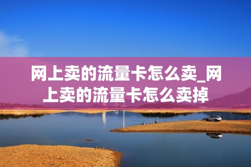 网上卖的流量卡怎么卖_网上卖的流量卡怎么卖掉