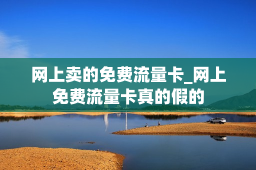 网上卖的免费流量卡_网上免费流量卡真的假的
