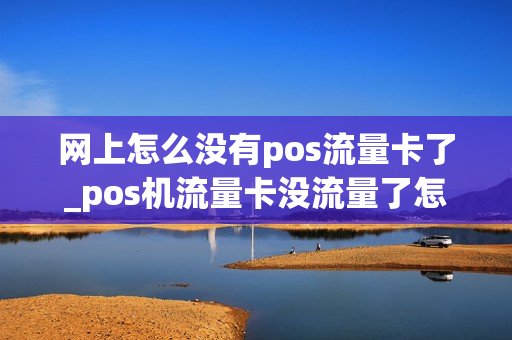 网上怎么没有pos流量卡了_pos机流量卡没流量了怎么办买