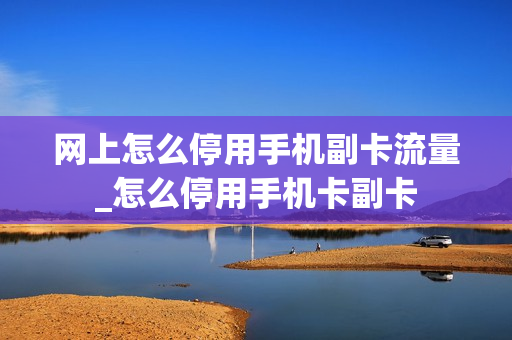 网上怎么停用手机副卡流量_怎么停用手机卡副卡