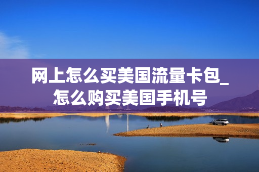 网上怎么买美国流量卡包_怎么购买美国手机号