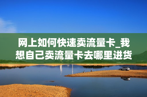 网上如何快速卖流量卡_我想自己卖流量卡去哪里进货