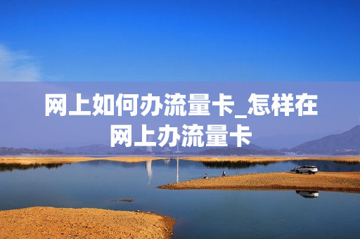 网上如何办流量卡_怎样在网上办流量卡