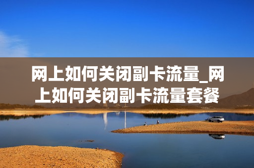 网上如何关闭副卡流量_网上如何关闭副卡流量套餐