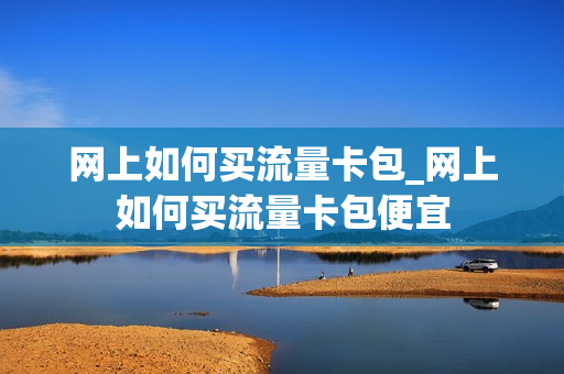 网上如何买流量卡包_网上如何买流量卡包便宜