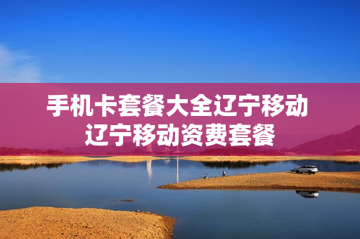 手机卡套餐大全辽宁移动 辽宁移动资费套餐