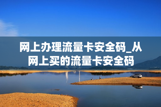 网上办理流量卡安全码_从网上买的流量卡安全码