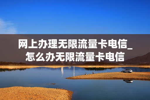 网上办理无限流量卡电信_怎么办无限流量卡电信