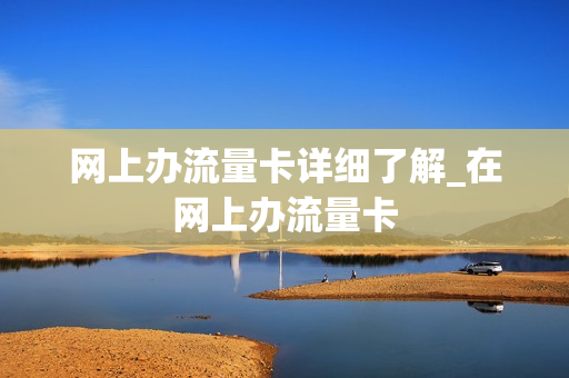 网上办流量卡详细了解_在网上办流量卡