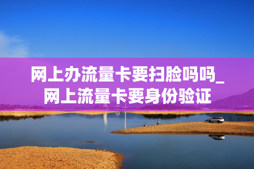网上办流量卡要扫脸吗吗_网上流量卡要身份验证