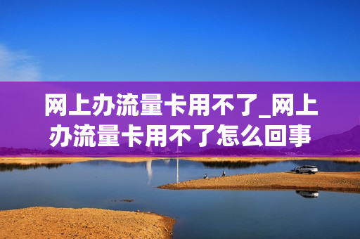 网上办流量卡用不了_网上办流量卡用不了怎么回事