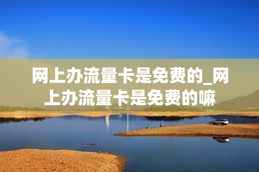 网上办流量卡是免费的_网上办流量卡是免费的嘛