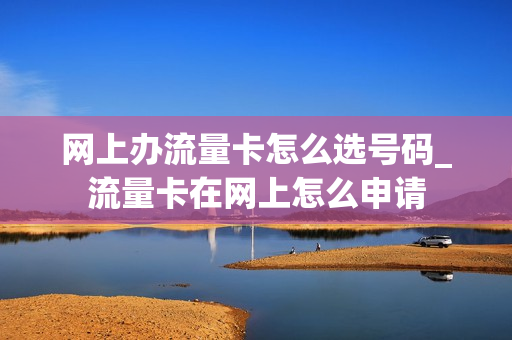 网上办流量卡怎么选号码_流量卡在网上怎么申请