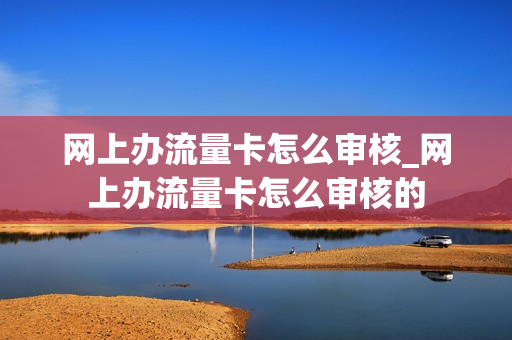 网上办流量卡怎么审核_网上办流量卡怎么审核的