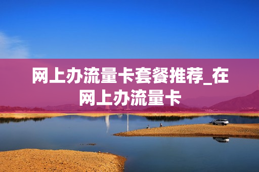 网上办流量卡套餐推荐_在网上办流量卡