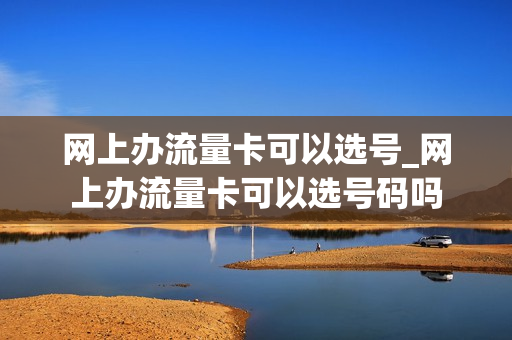 网上办流量卡可以选号_网上办流量卡可以选号码吗