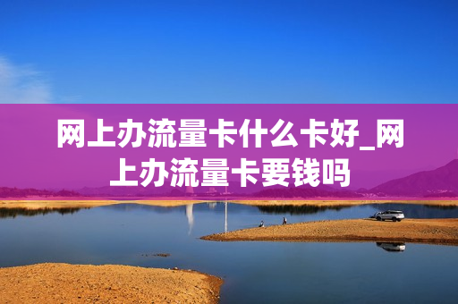 网上办流量卡什么卡好_网上办流量卡要钱吗
