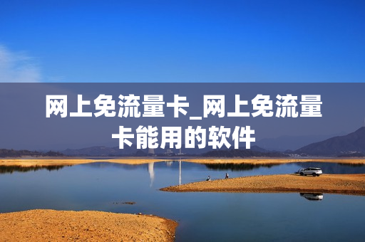 网上免流量卡_网上免流量卡能用的软件