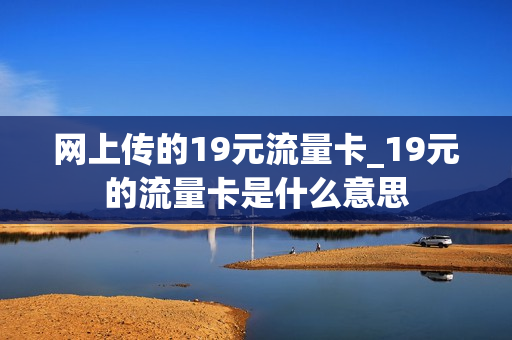 网上传的19元流量卡_19元的流量卡是什么意思