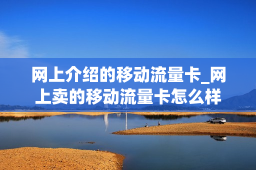 网上介绍的移动流量卡_网上卖的移动流量卡怎么样