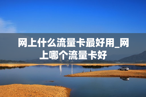 网上什么流量卡最好用_网上哪个流量卡好