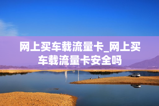 网上买车载流量卡_网上买车载流量卡安全吗