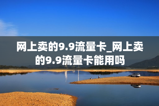 网上卖的9.9流量卡_网上卖的9.9流量卡能用吗