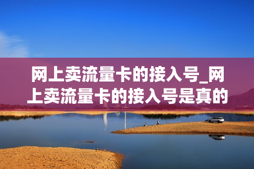 网上卖流量卡的接入号_网上卖流量卡的接入号是真的吗