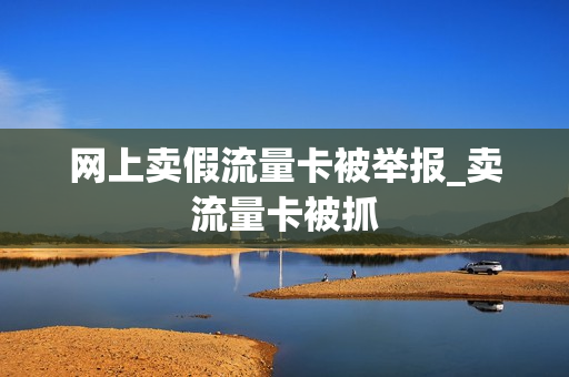 网上卖假流量卡被举报_卖流量卡被抓
