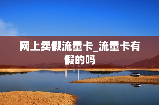 网上卖假流量卡_流量卡有假的吗