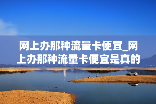 网上办那种流量卡便宜_网上办那种流量卡便宜是真的吗