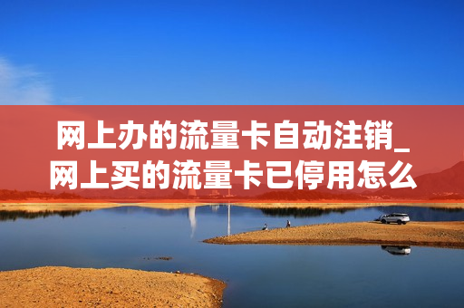 网上办的流量卡自动注销_网上买的流量卡已停用怎么办