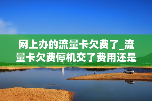 网上办的流量卡欠费了_流量卡欠费停机交了费用还是停机