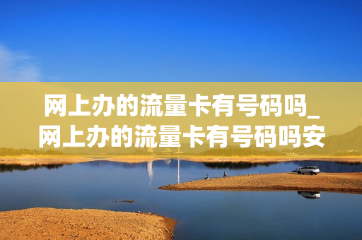 网上办的流量卡有号码吗_网上办的流量卡有号码吗安全吗