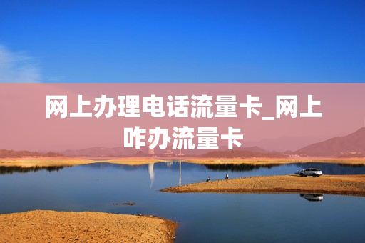 网上办理电话流量卡_网上咋办流量卡