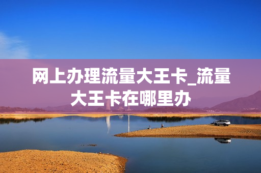 网上办理流量大王卡_流量大王卡在哪里办