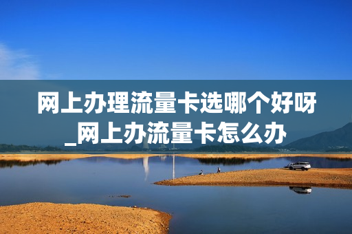 网上办理流量卡选哪个好呀_网上办流量卡怎么办
