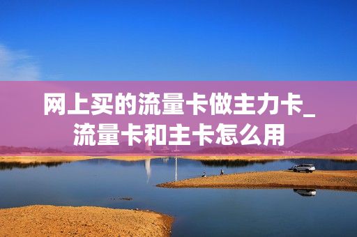 网上买的流量卡做主力卡_流量卡和主卡怎么用
