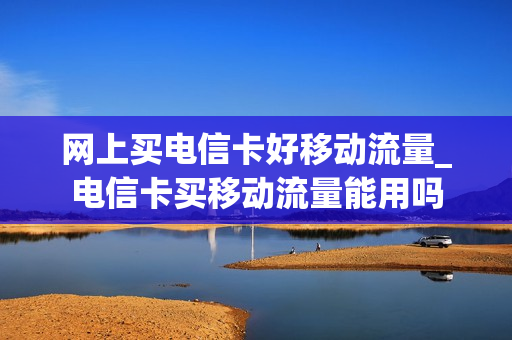 网上买电信卡好移动流量_电信卡买移动流量能用吗