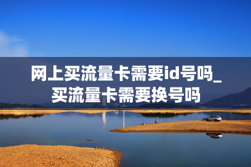 网上买流量卡需要id号吗_买流量卡需要换号吗