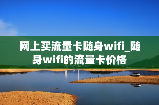 网上买流量卡随身wifi_随身wifi的流量卡价格