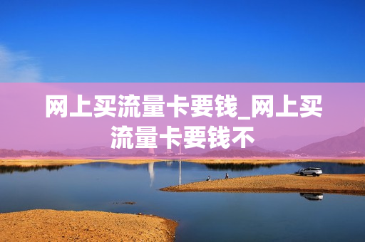 网上买流量卡要钱_网上买流量卡要钱不
