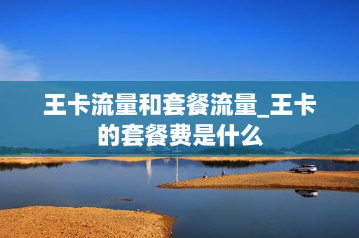 王卡流量和套餐流量_王卡的套餐费是什么