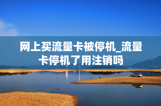 网上买流量卡被停机_流量卡停机了用注销吗