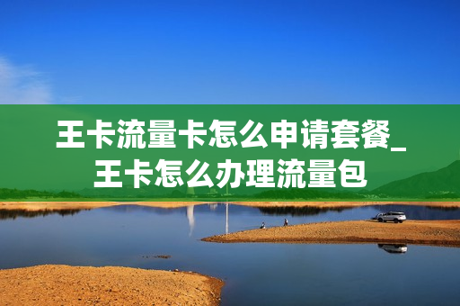 王卡流量卡怎么申请套餐_王卡怎么办理流量包