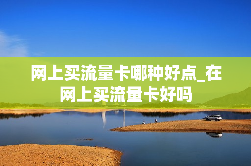 网上买流量卡哪种好点_在网上买流量卡好吗