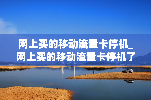 网上买的移动流量卡停机_网上买的移动流量卡停机了