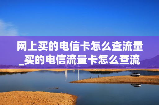 网上买的电信卡怎么查流量_买的电信流量卡怎么查流量